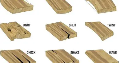木材的质量——如何选择木材
